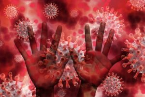 Bacteria